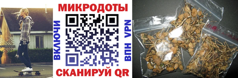 Галлюциногенные грибы ЛСД Щучье